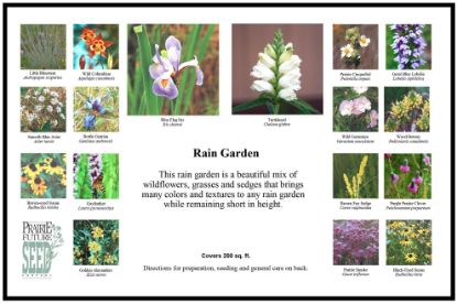 Picture of Rain Garden - Seed Mix