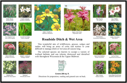 Picture of Roadside Ditch & Wet Area - Seed Mix