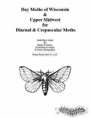 Picture of Day Moths of Wisconsin & Upper Midwest  for  Diurnal & Crepuscular Moths