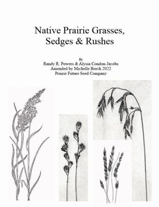 Picture of Native Prairie Grasses, Sedges & Rushes