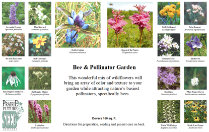Picture of Bee & Pollinator Garden - Seed Mix