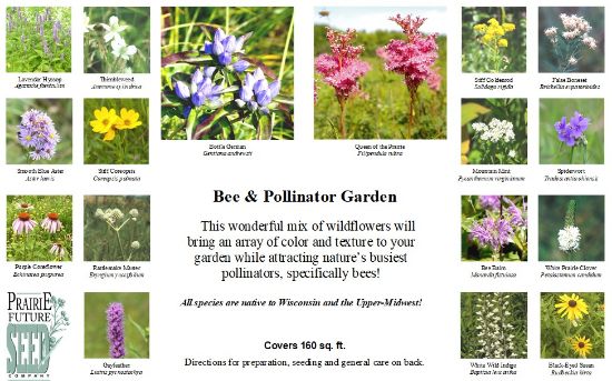 Picture of Bee & Pollinator Garden - Seed Mix